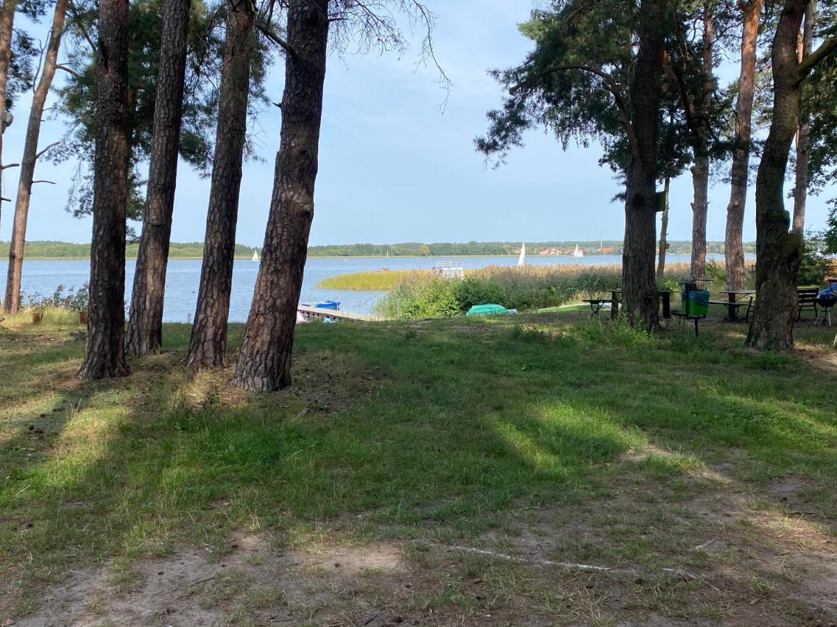 Apartament Wiewiorka Radzyń Eksteriør bilde